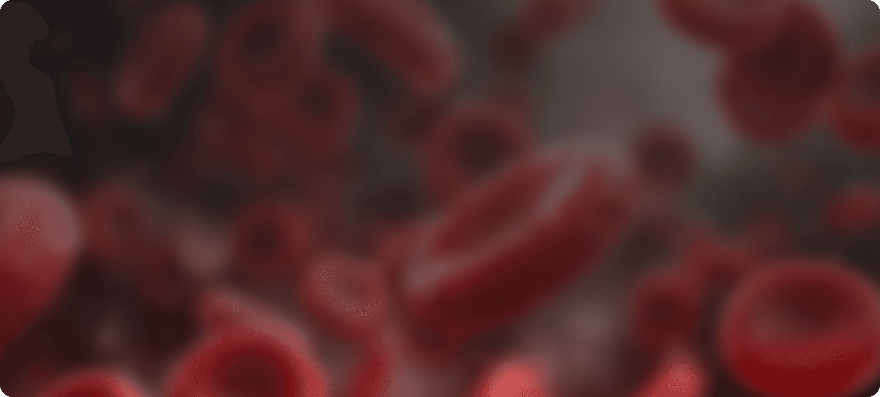 Red Blood Cells Background