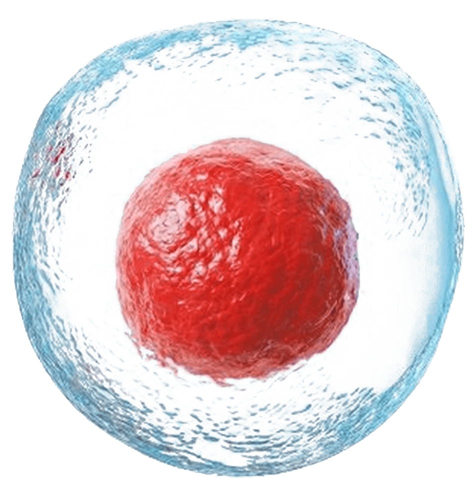 3D Stem Cell